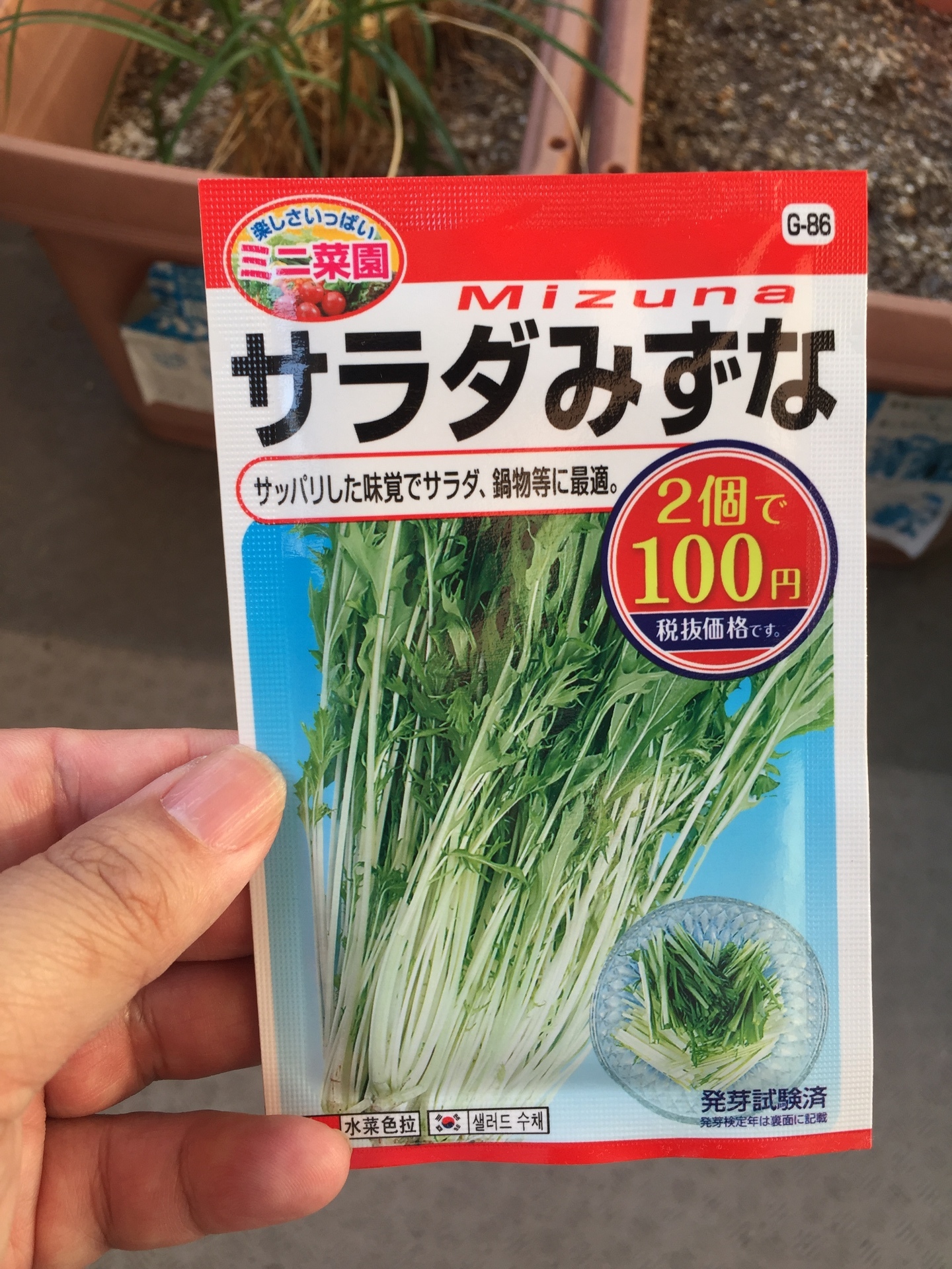 100円ショップの種で家庭菜園をやろう 水菜編１ 家庭菜園 種 100円ショップ 水菜 ムニュモのへっぽこブログ